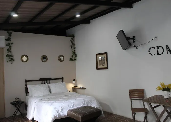 Cinnamon Loft, Next To Masaryk Polanco